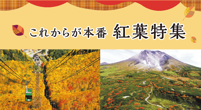 これからが本番 紅葉特集 | 北海道新聞 旭川支社 + ななかまど
