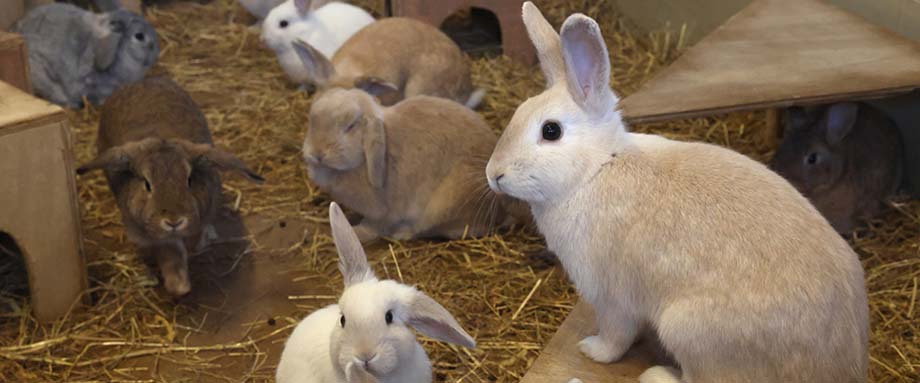 旭山動物園わくわく日記